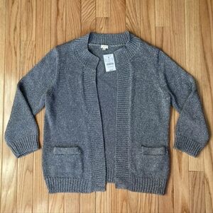 Sparkly Silver Gray Cardigan Sweater New J Crew Medium With Tag